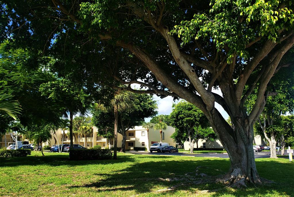 Renovated 2 bedroom condo with 2 full baths and 2 walk in closets. NO CARPETING! Washer & Dryer inside Beautiful lake view and quiet neighborhood. New stainless steel appliances, fans in each room, hurricane shutters. Community has club house, pool and tennis courts. Across from Golf course.
