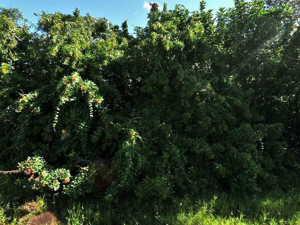 Photo of 3573 SW San Giorgio Street St, Port St Lucie, FL 34953 (MLS # R10784377)