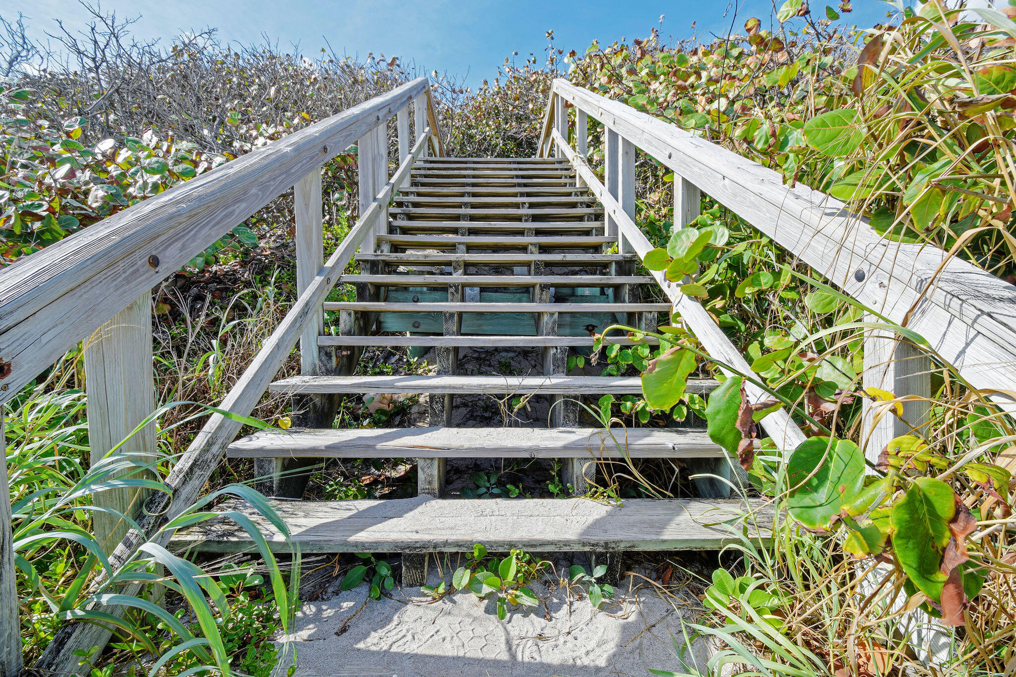 SURFSIDE PARK - Residential