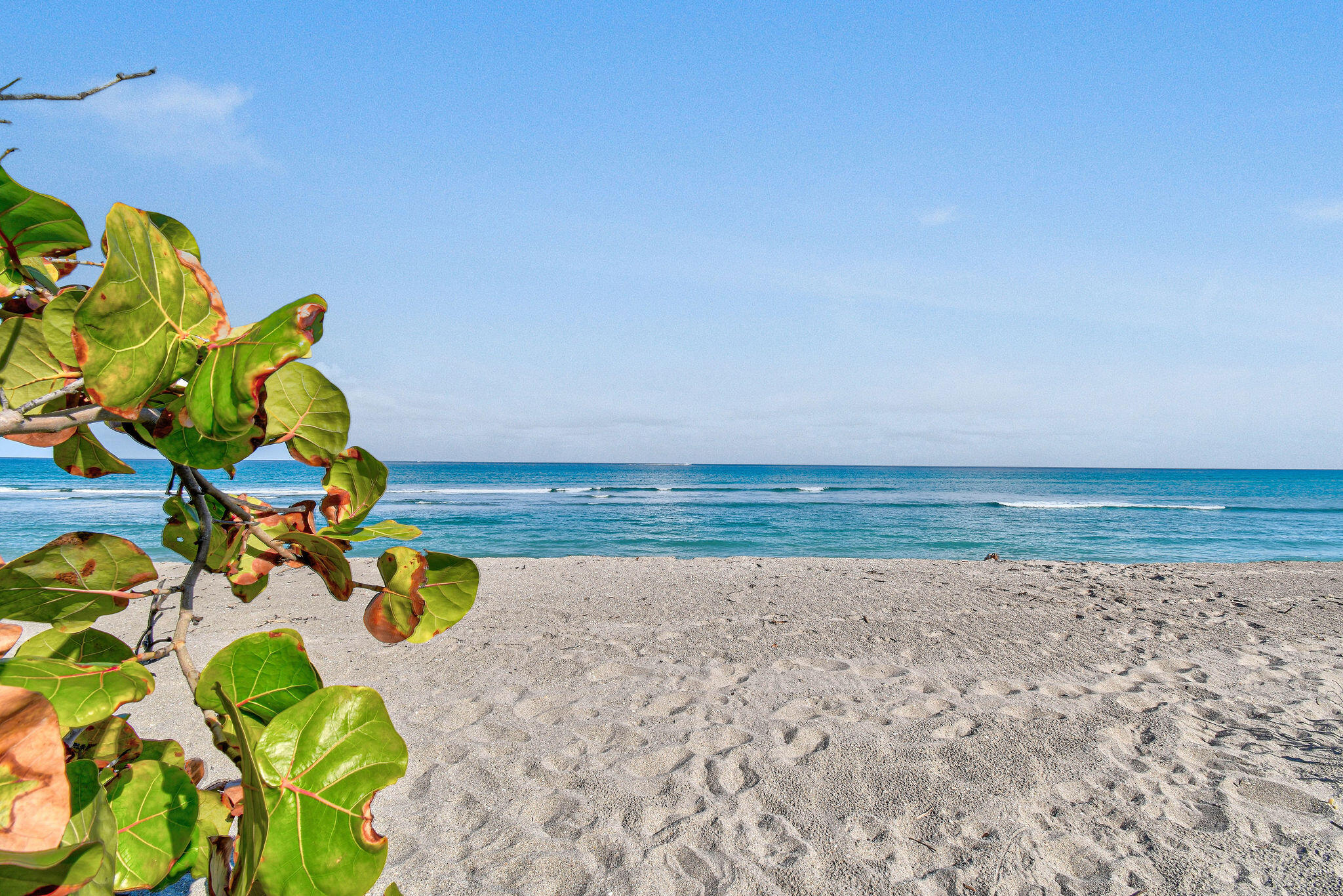 SURFSIDE PARK - Residential