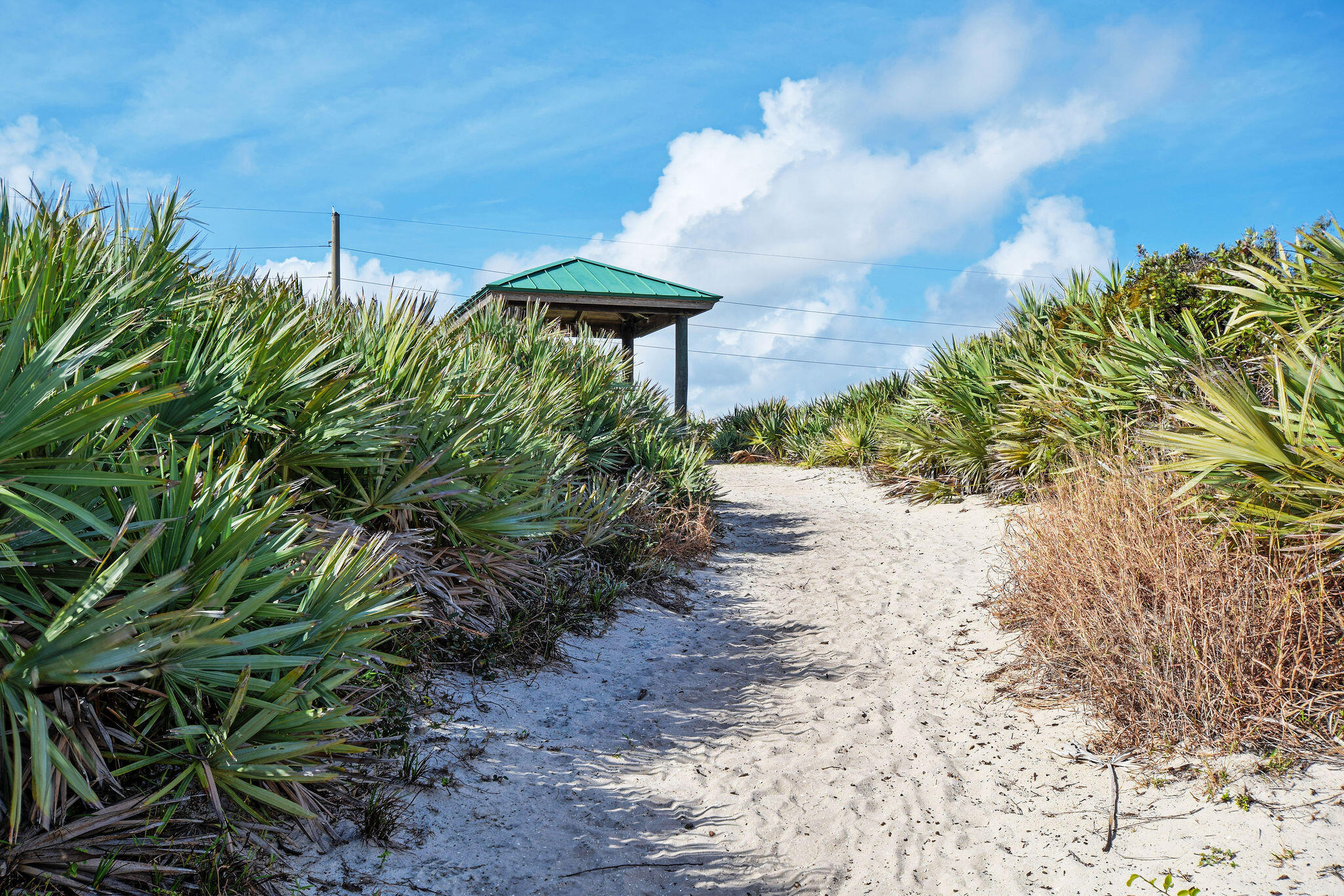 SURFSIDE PARK - Residential