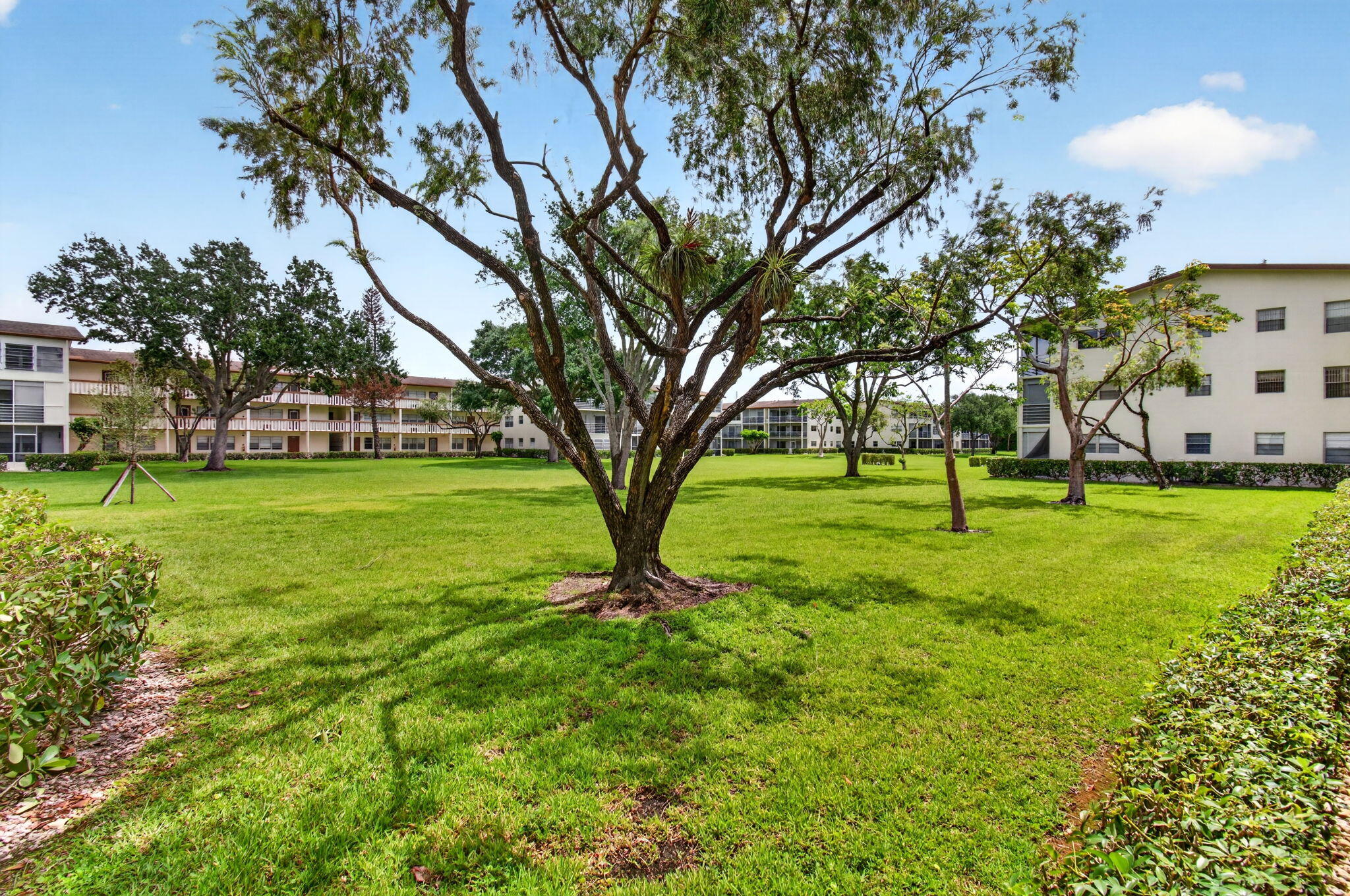 CENTURY VILLAGE - Residential