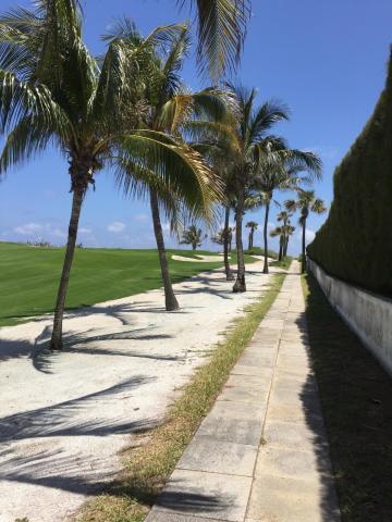 President of Palm Beach - Residential