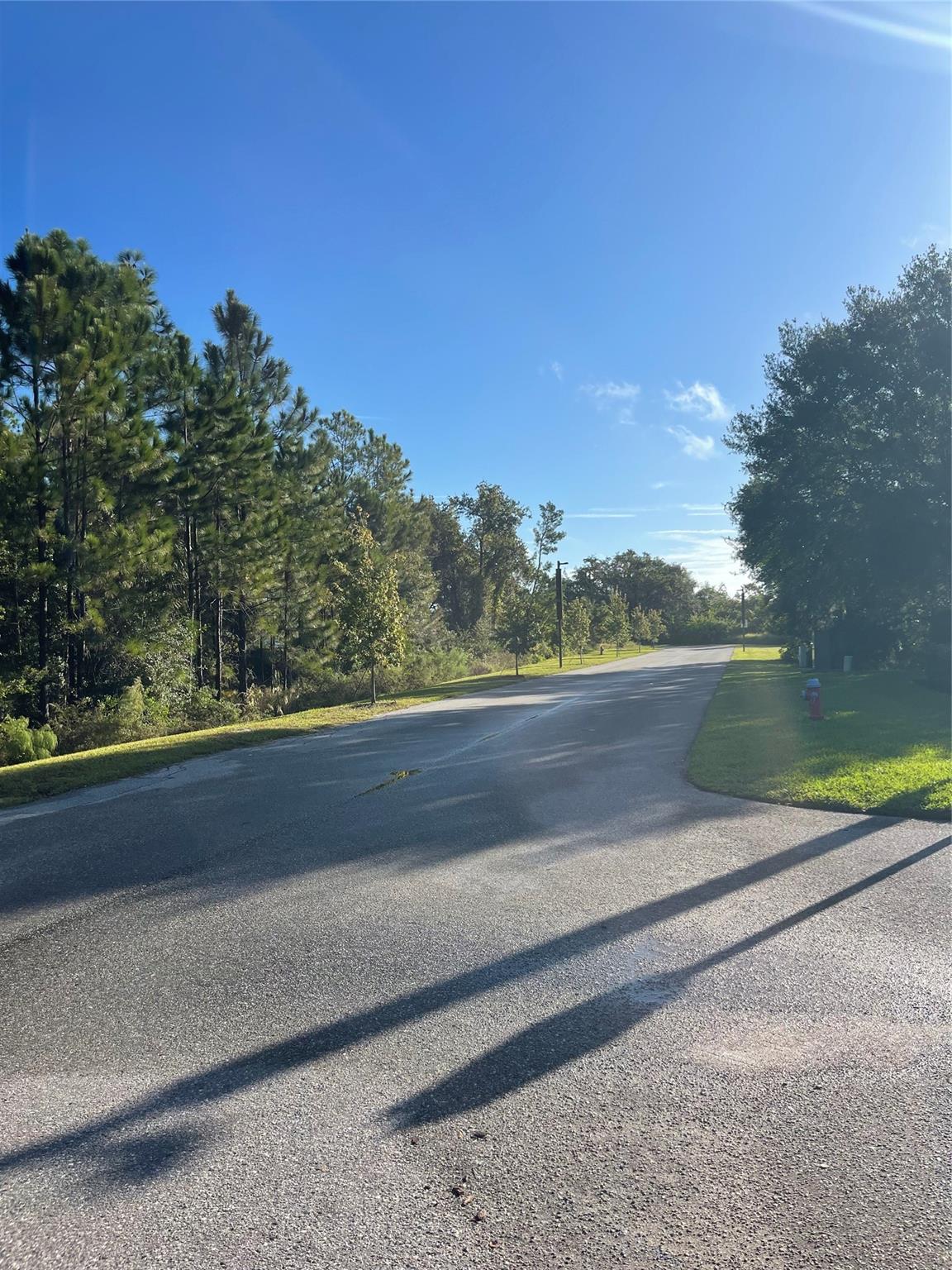 Hidden Forest - Residential