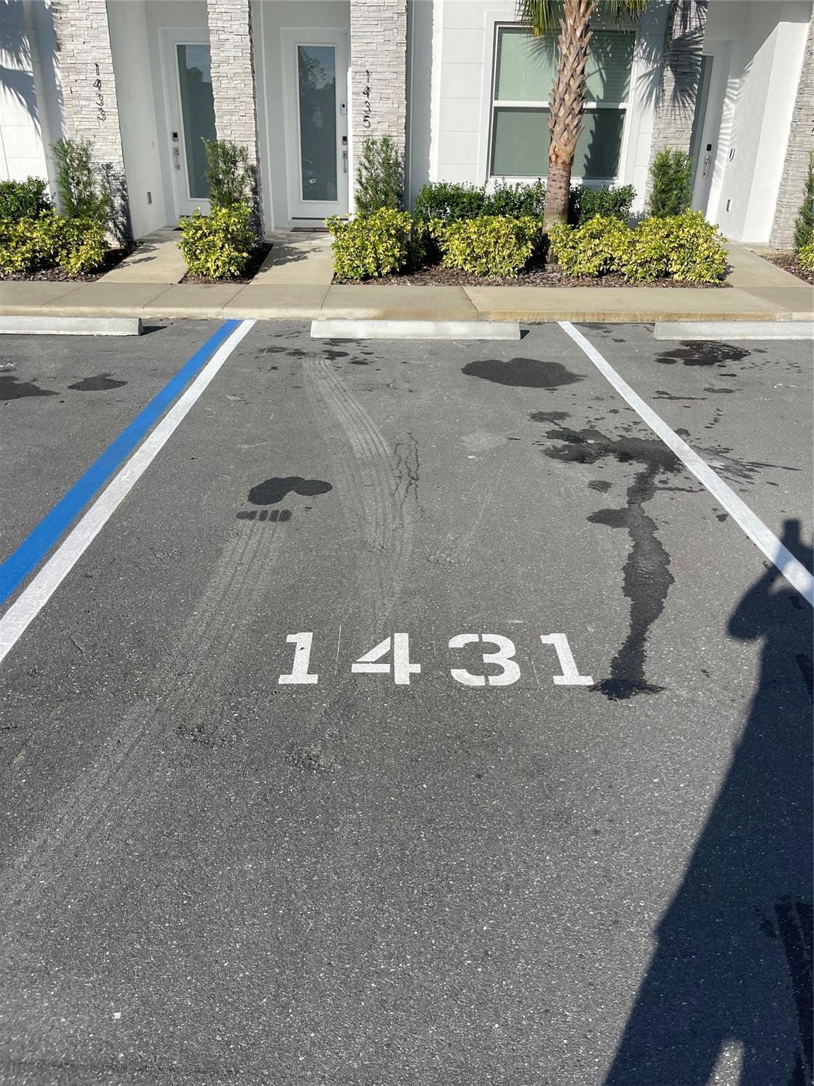 Hidden Forest - Residential