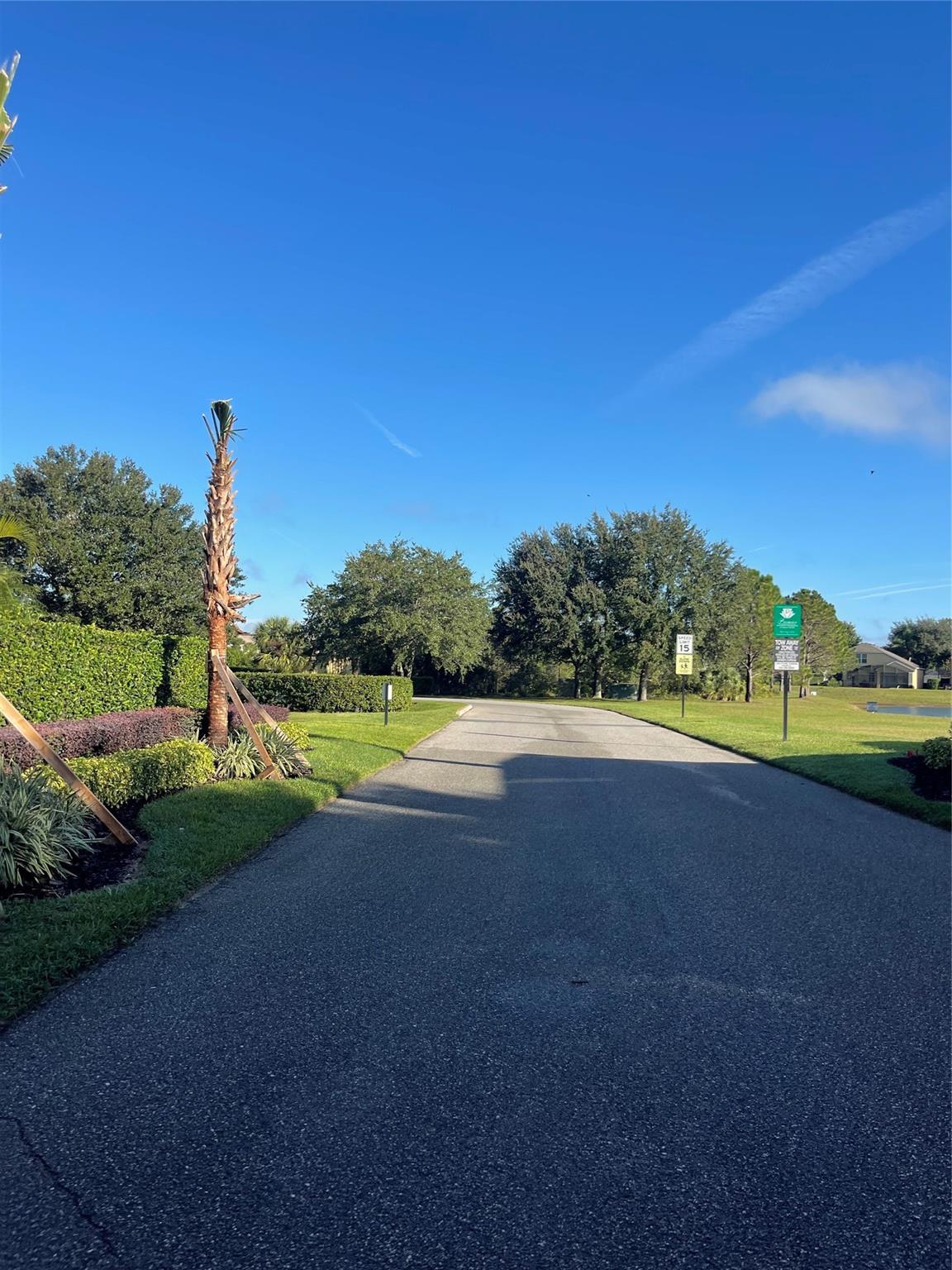 Hidden Forest - Residential