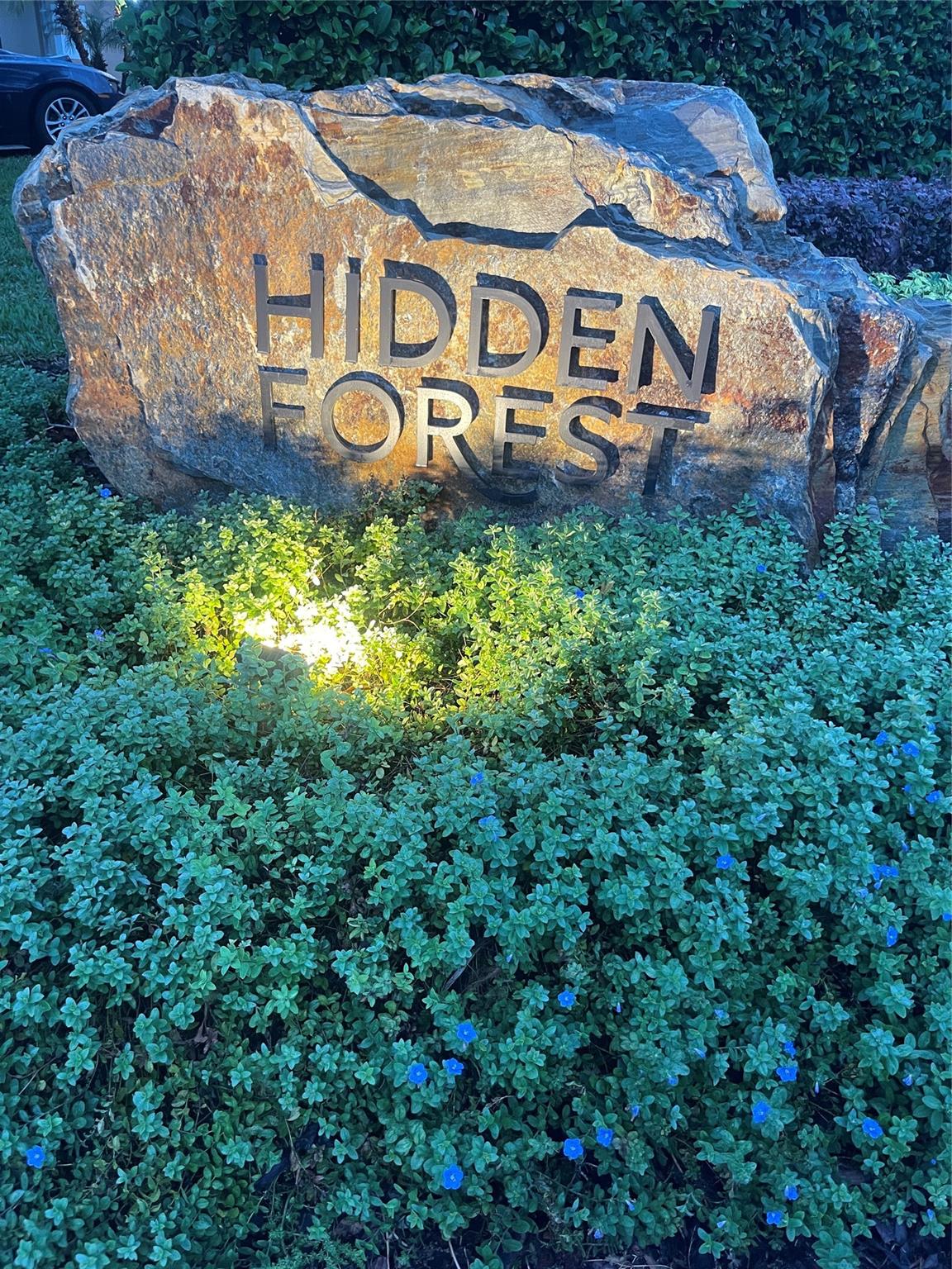 Hidden Forest - Residential