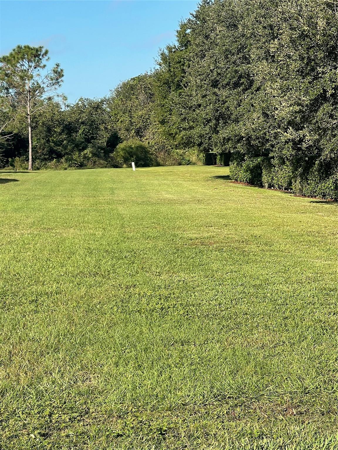 Hidden Forest - Residential