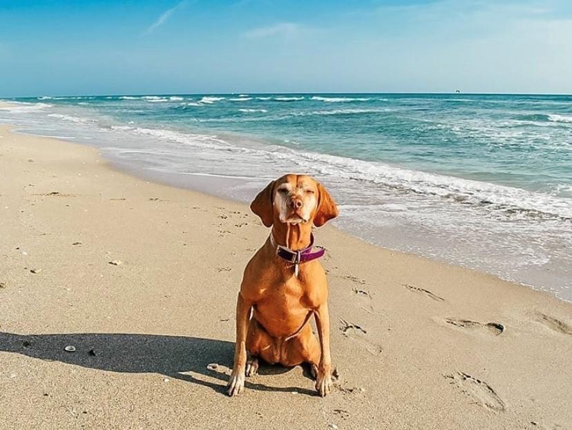 METES AND BOUNDS - Land