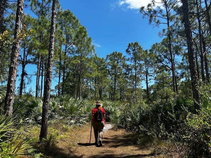 METES AND BOUNDS - Land