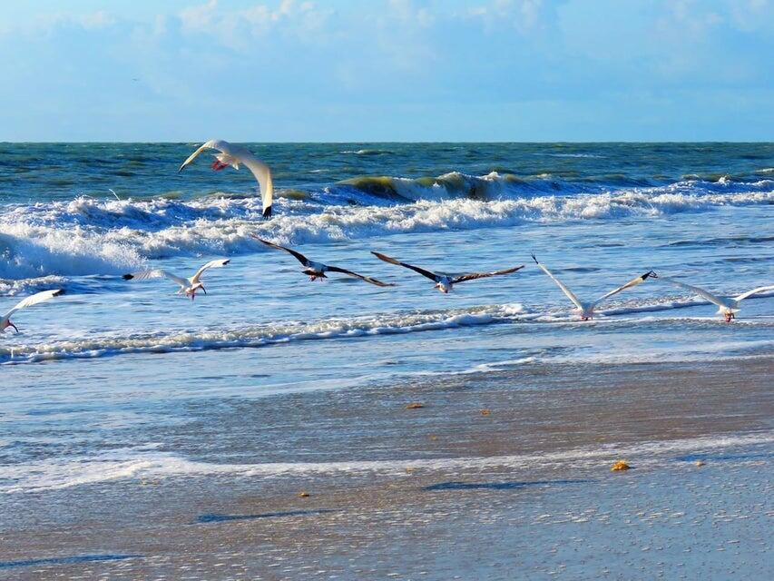 METES AND BOUNDS - Land