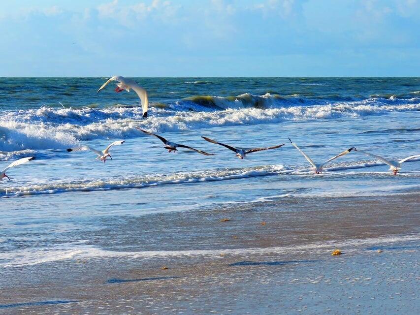 METES AND BOUNDS - Land