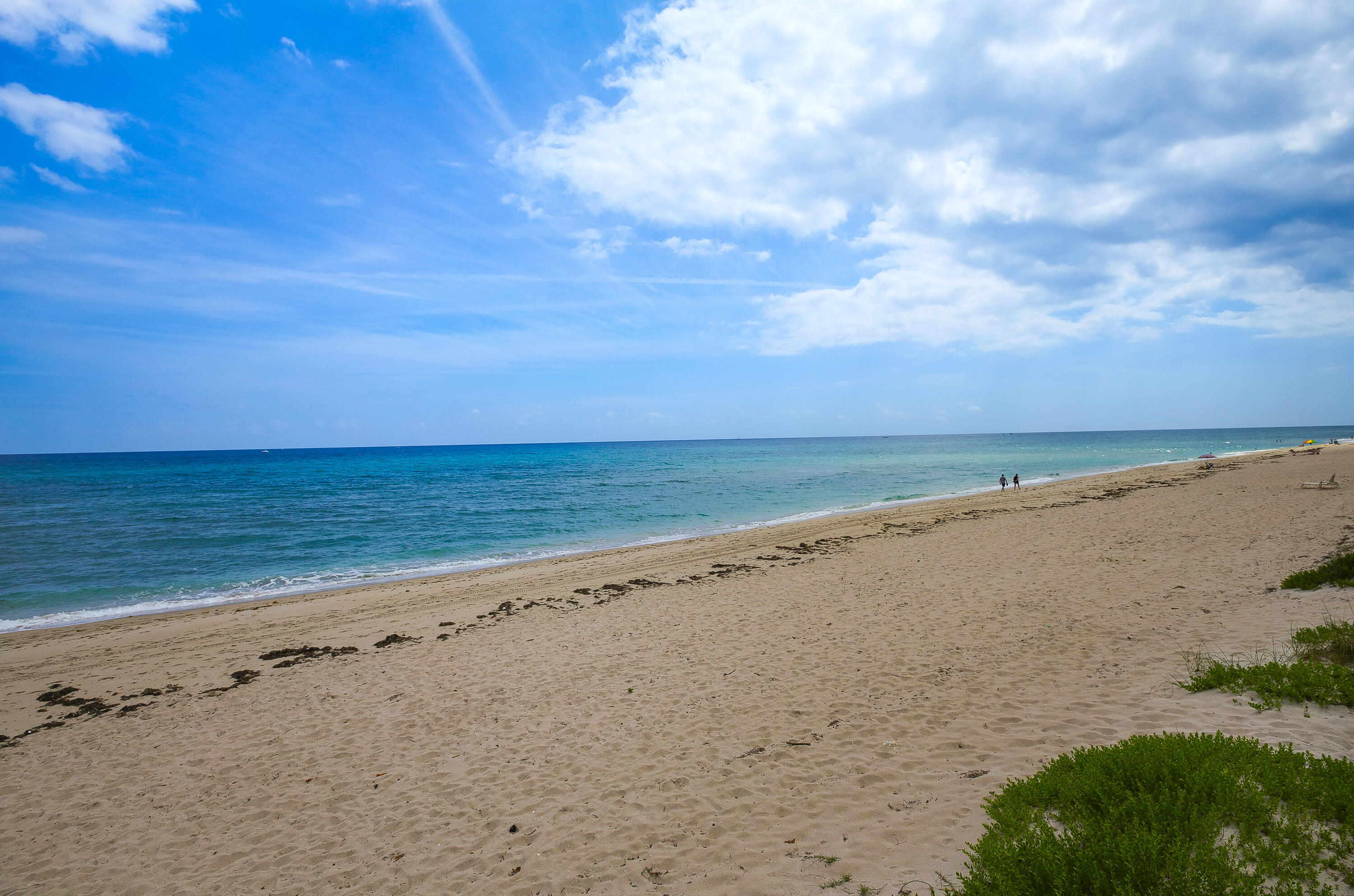 The Patrician - Residential