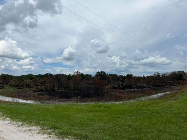 build or bring your dream home and barn on this beautiful and private high and dry corner 1.5 acre lot just off of the main dirt road but yet still private. power poles on this street. So much to enjoy in Okeechobee County. Come to The Kissimmee River Preserve State Park West of this area as well is the Kissimmee River. The Kissimmee river flows into Lake Okeechobee and is well known for some of the best fishing. whether you like Fishing, hunting ,mudding agriculture or just privacy here you have it all.