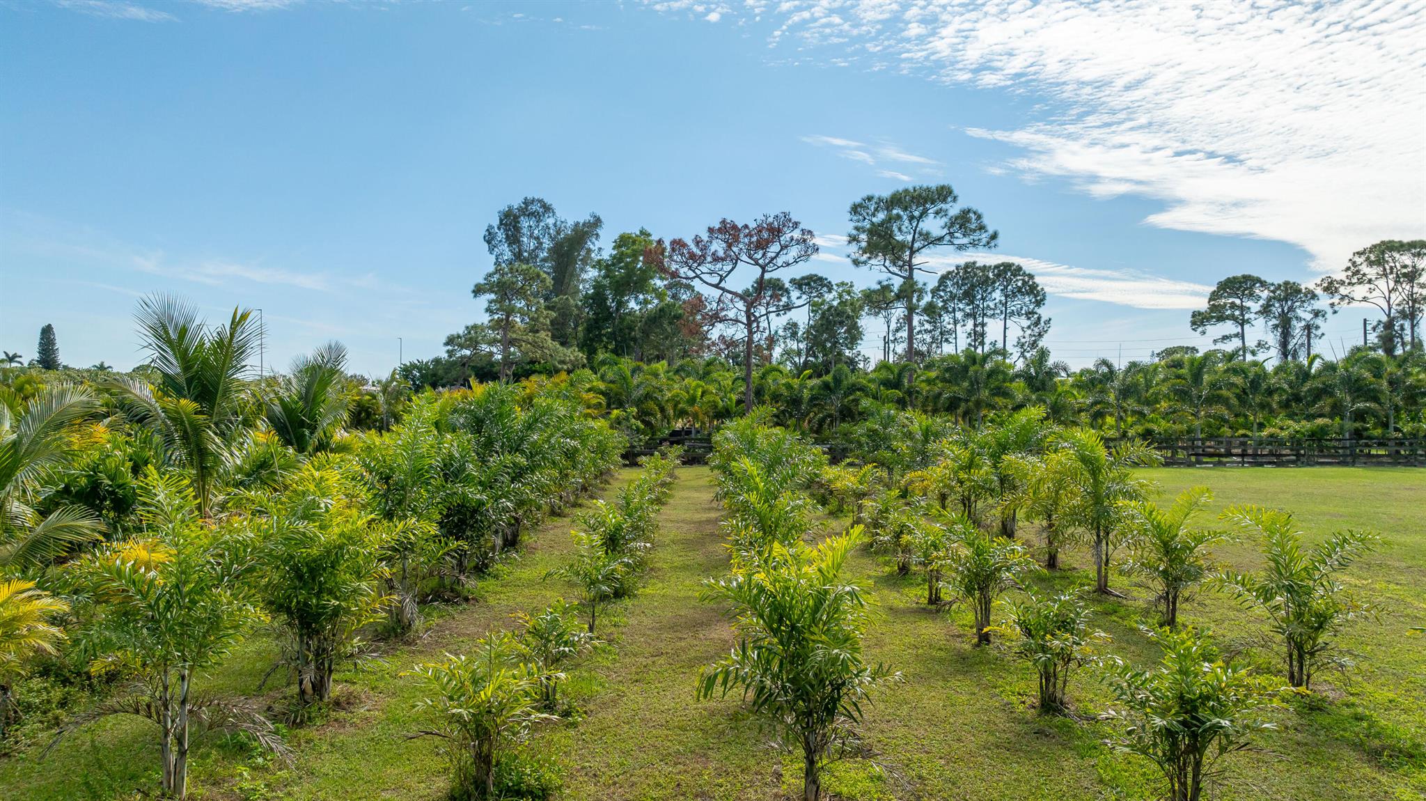 PALM BEACH FARMS CO 3 - Land