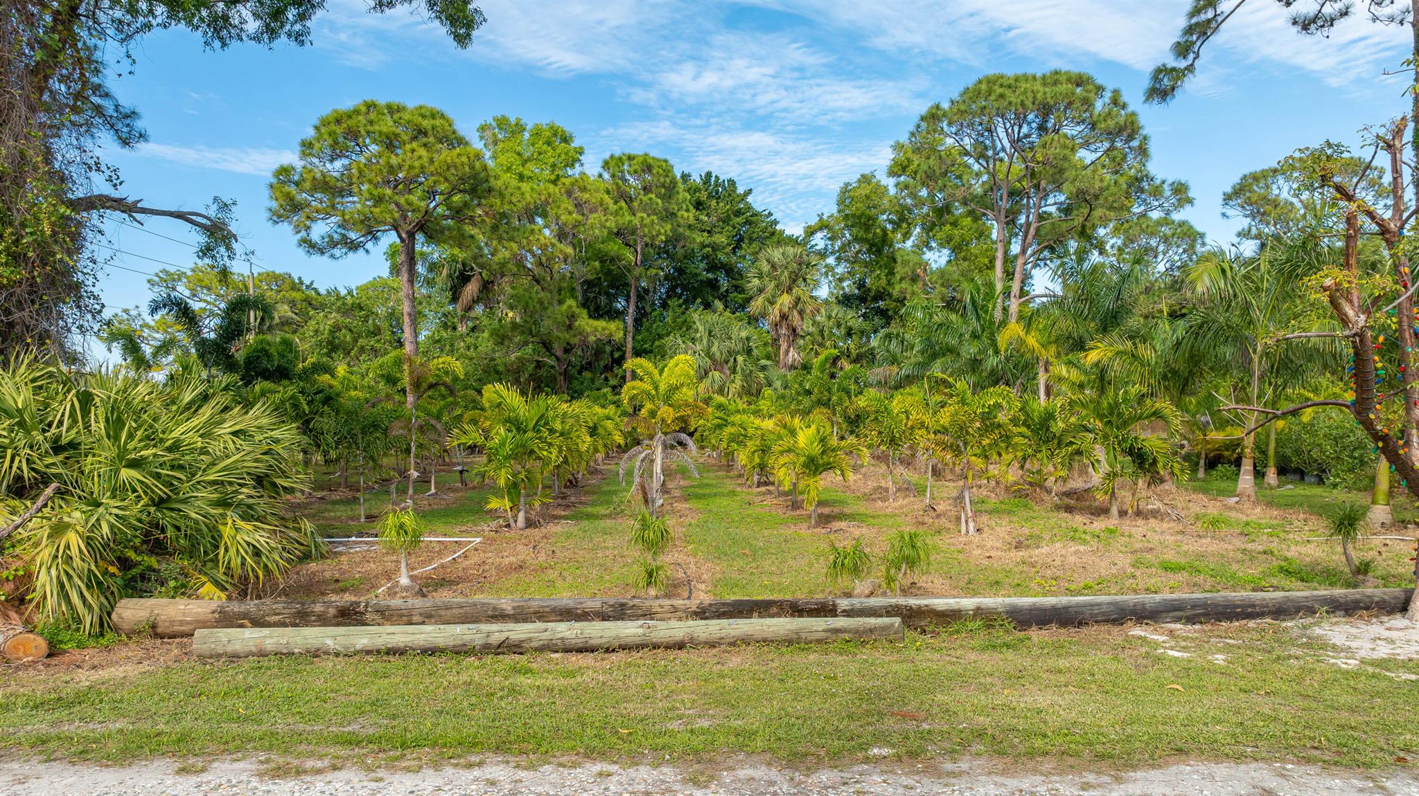 PALM BEACH FARMS CO 3 - Land