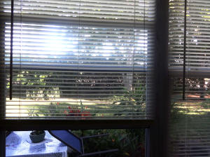 Century Village - Residential