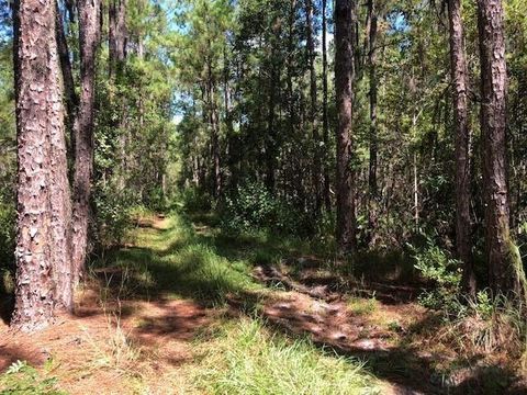 0 Old Grade Rd Other FL 33868