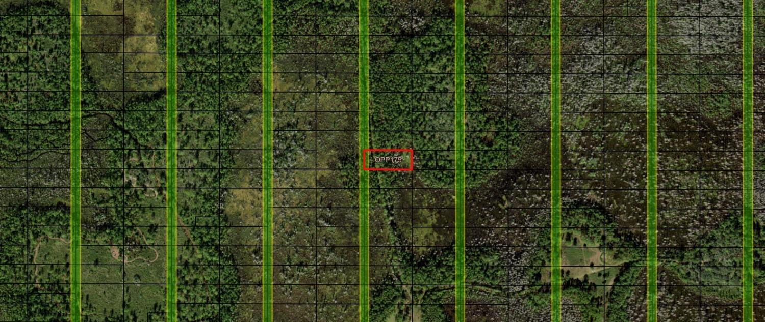 Opp175 Orlando Pines - Land