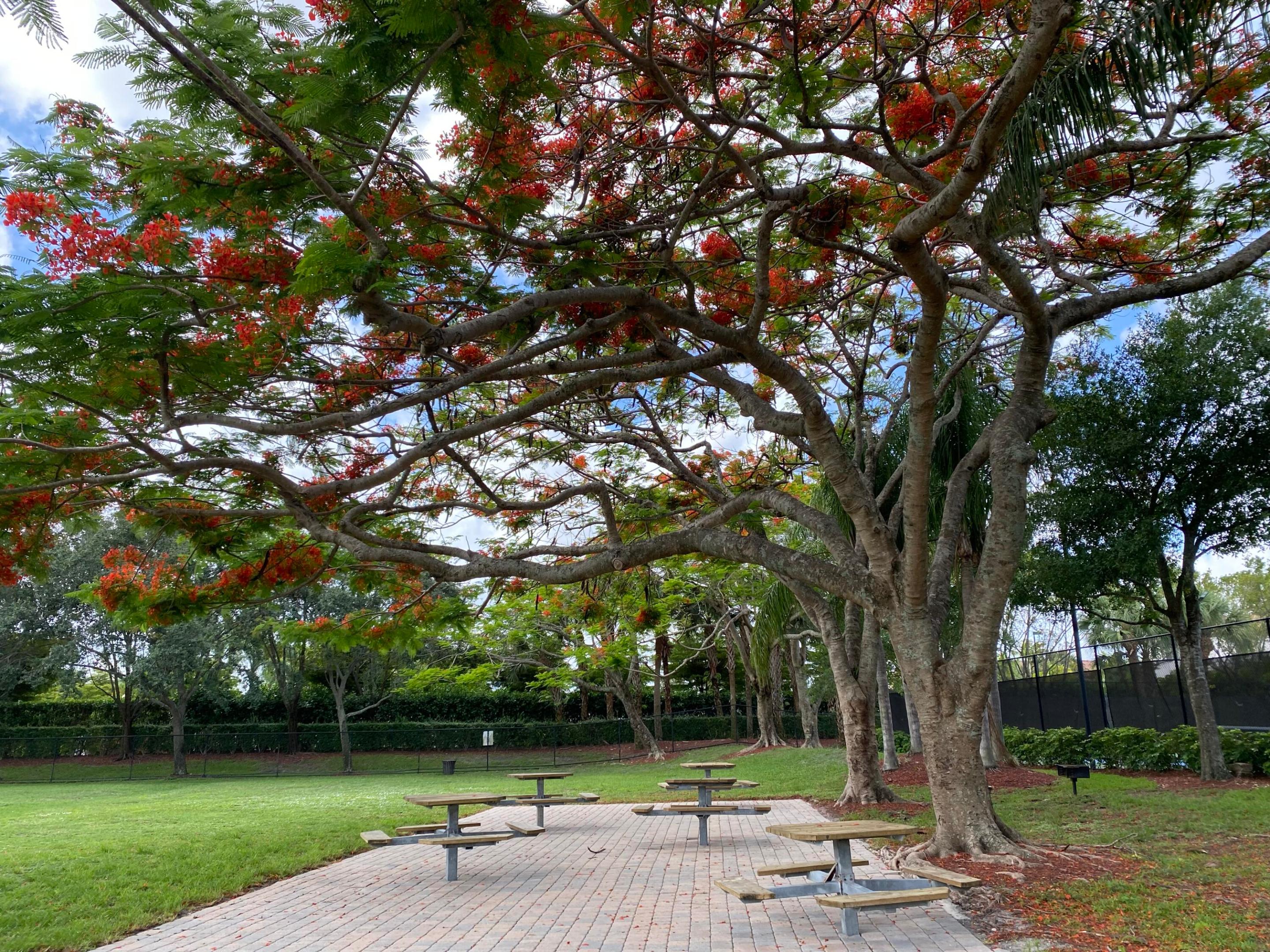 ANTHONY GROVES PH 2 - Residential Lease