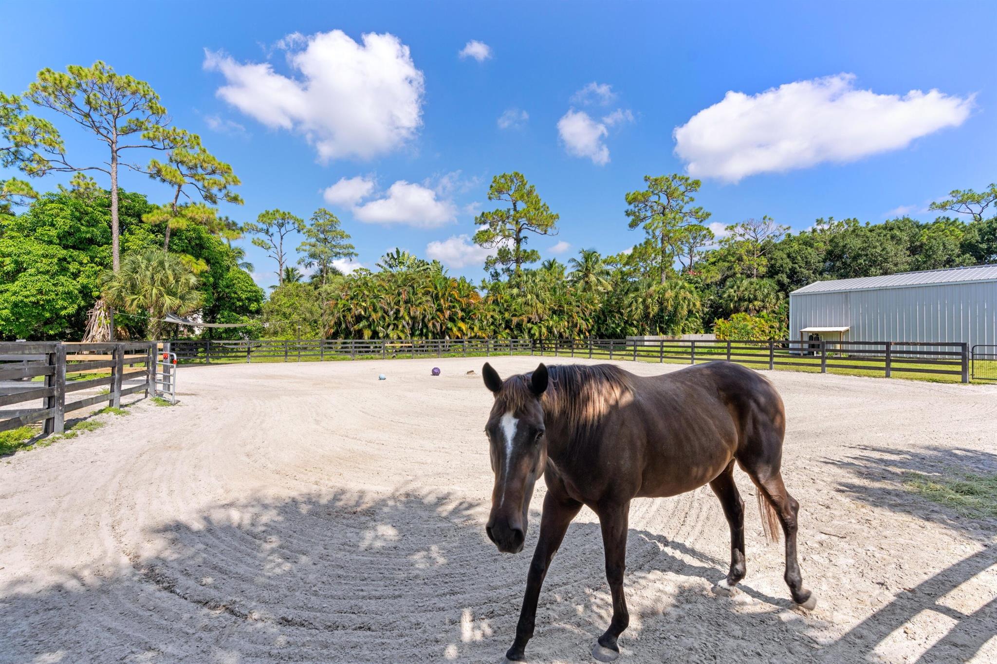 LOXAHATCHEE GROVES - Residential