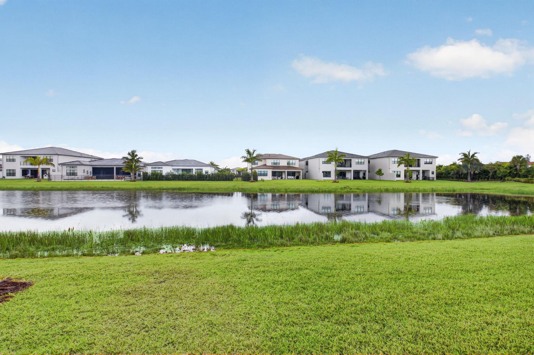 LOTUS PALM - Residential