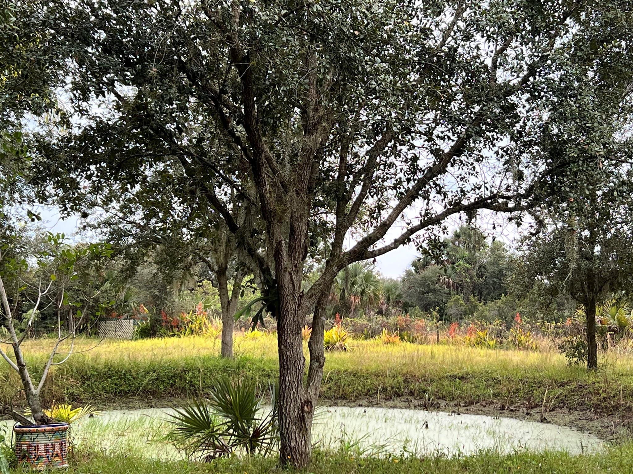 SOUTHERN COLONIZATION - Residential