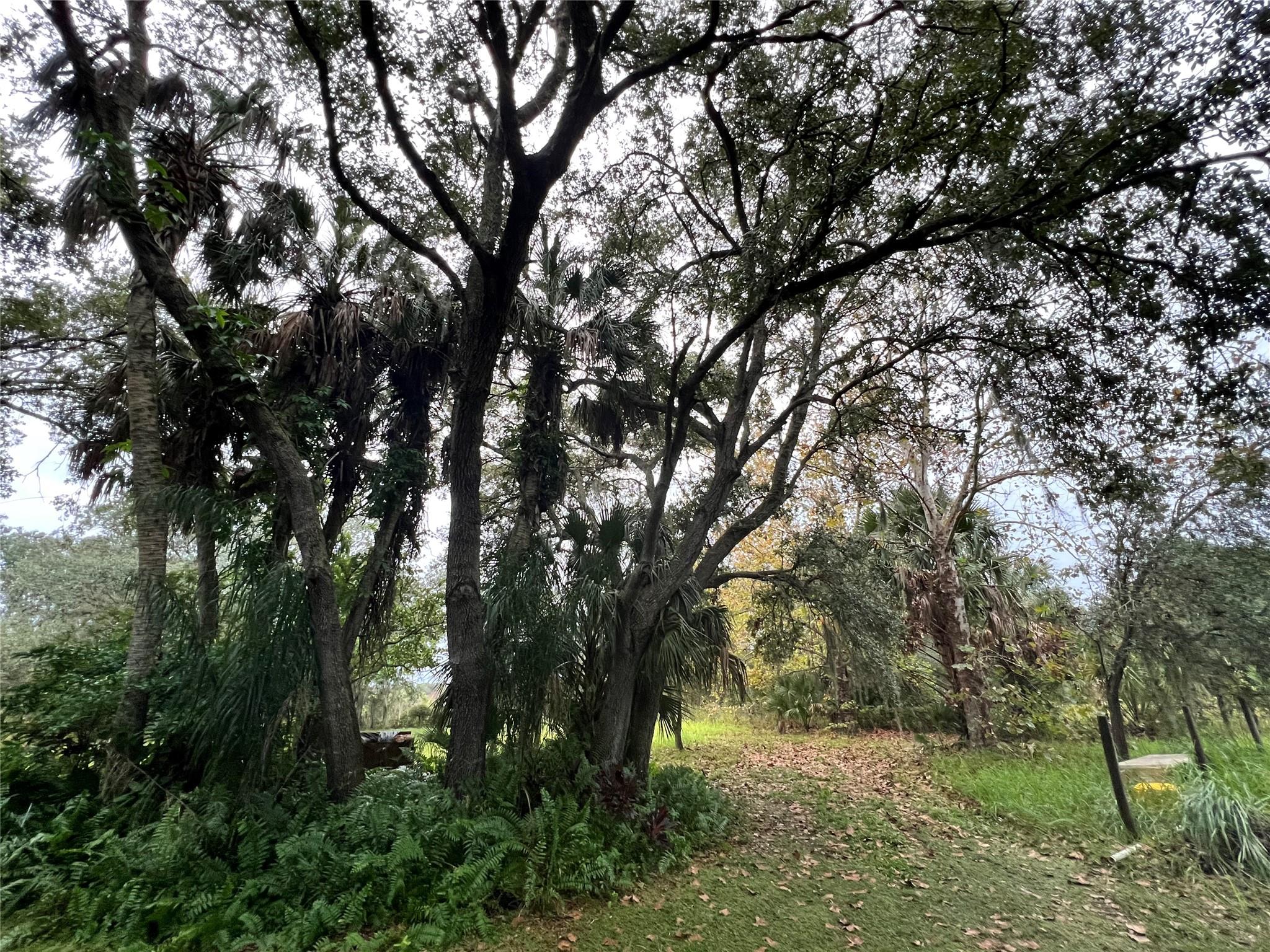 SOUTHERN COLONIZATION - Residential