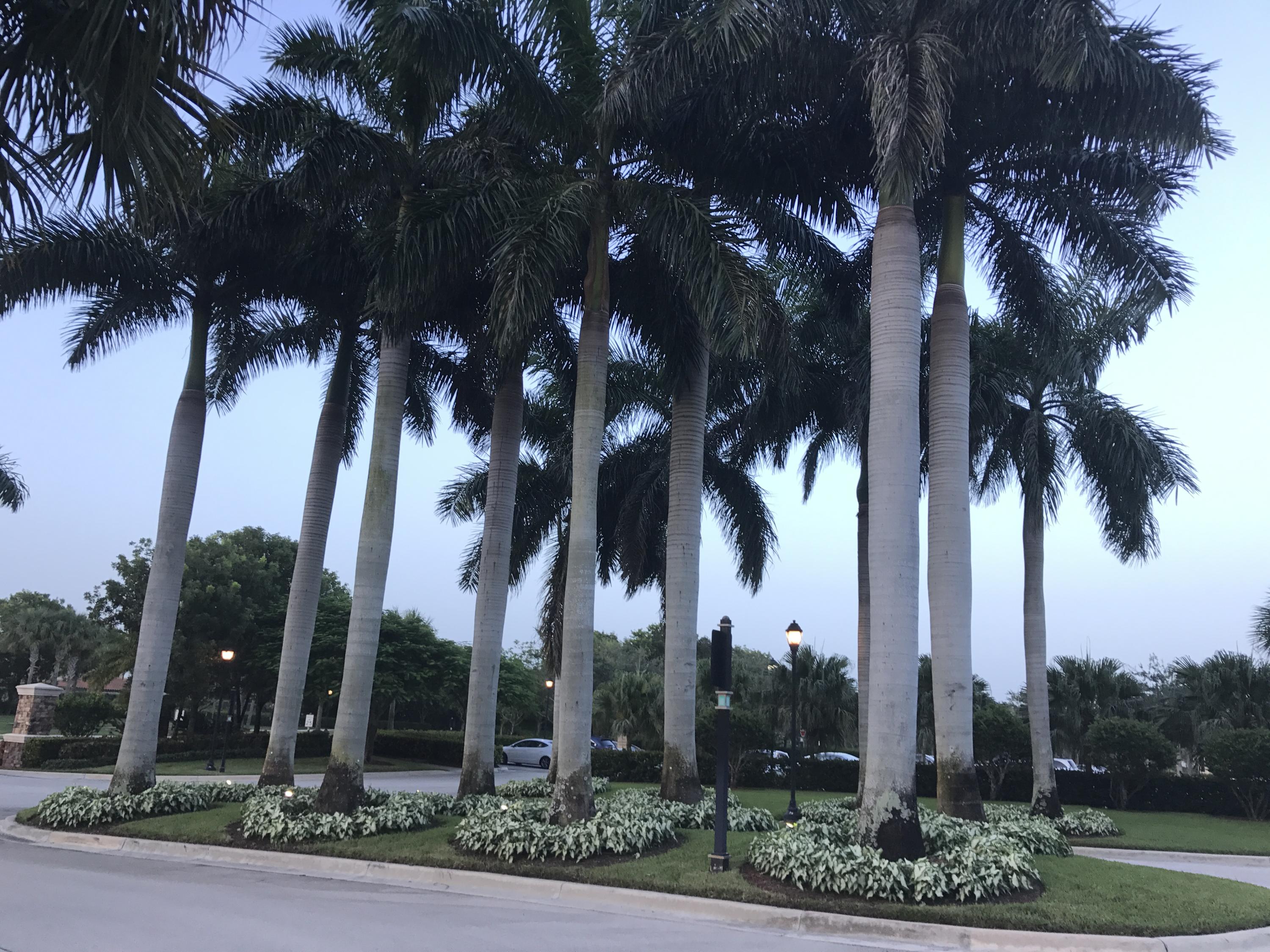 HERON BAY 4 - Residential