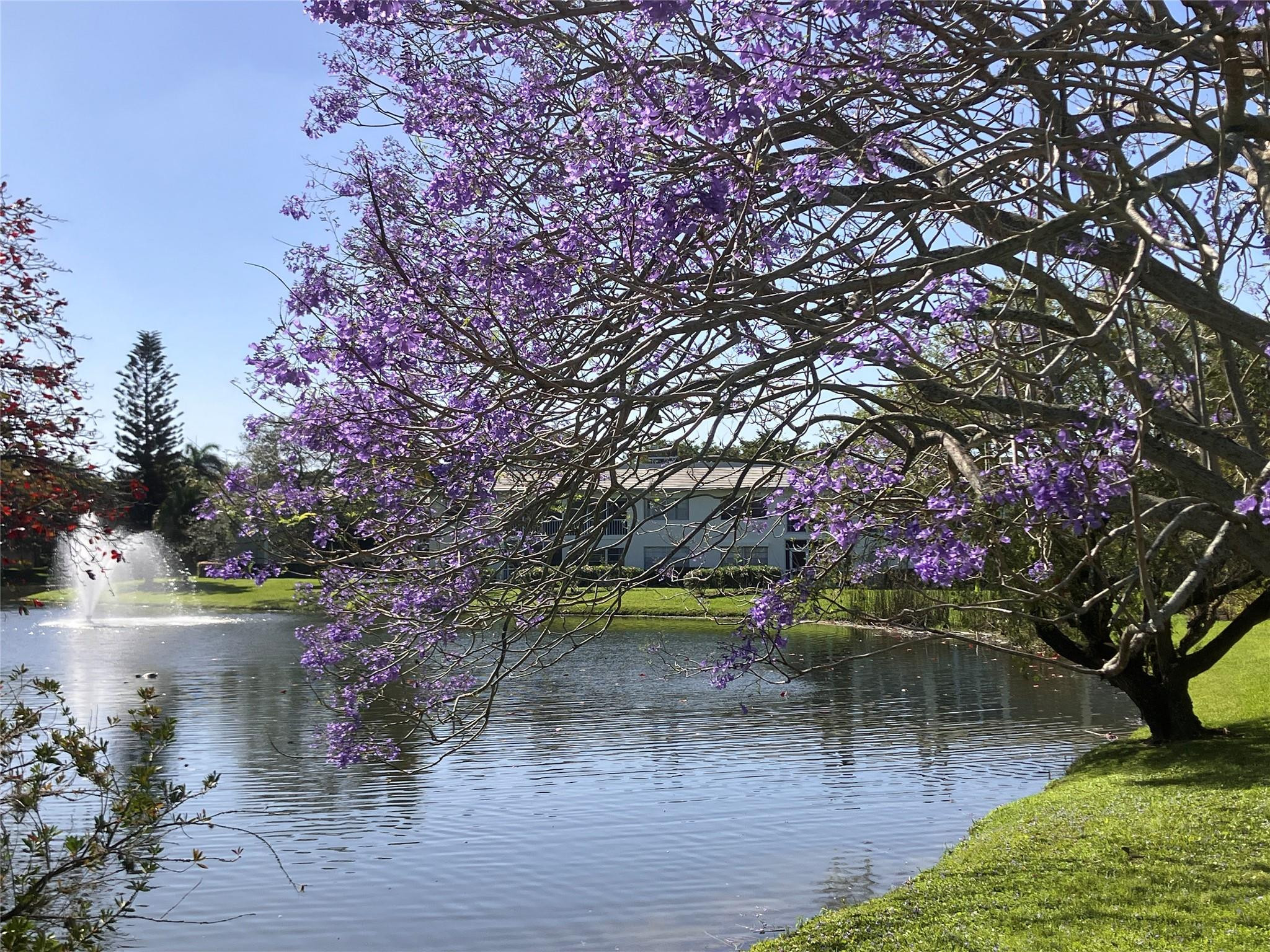 NASSAU VILLAGE WYNMOOR CONDO - Residential