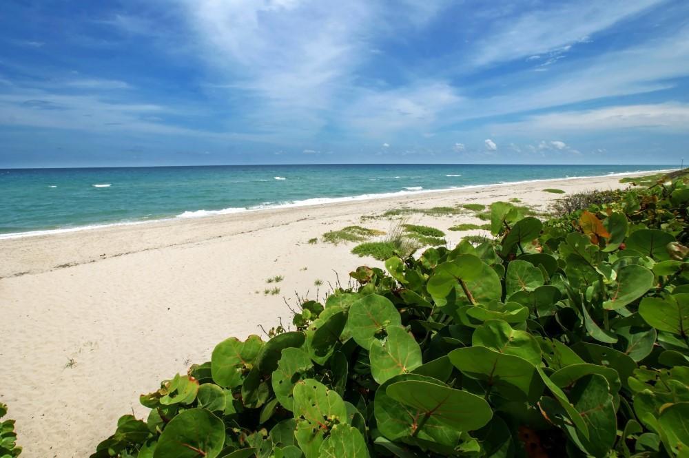 BOYNTON SUB - Residential