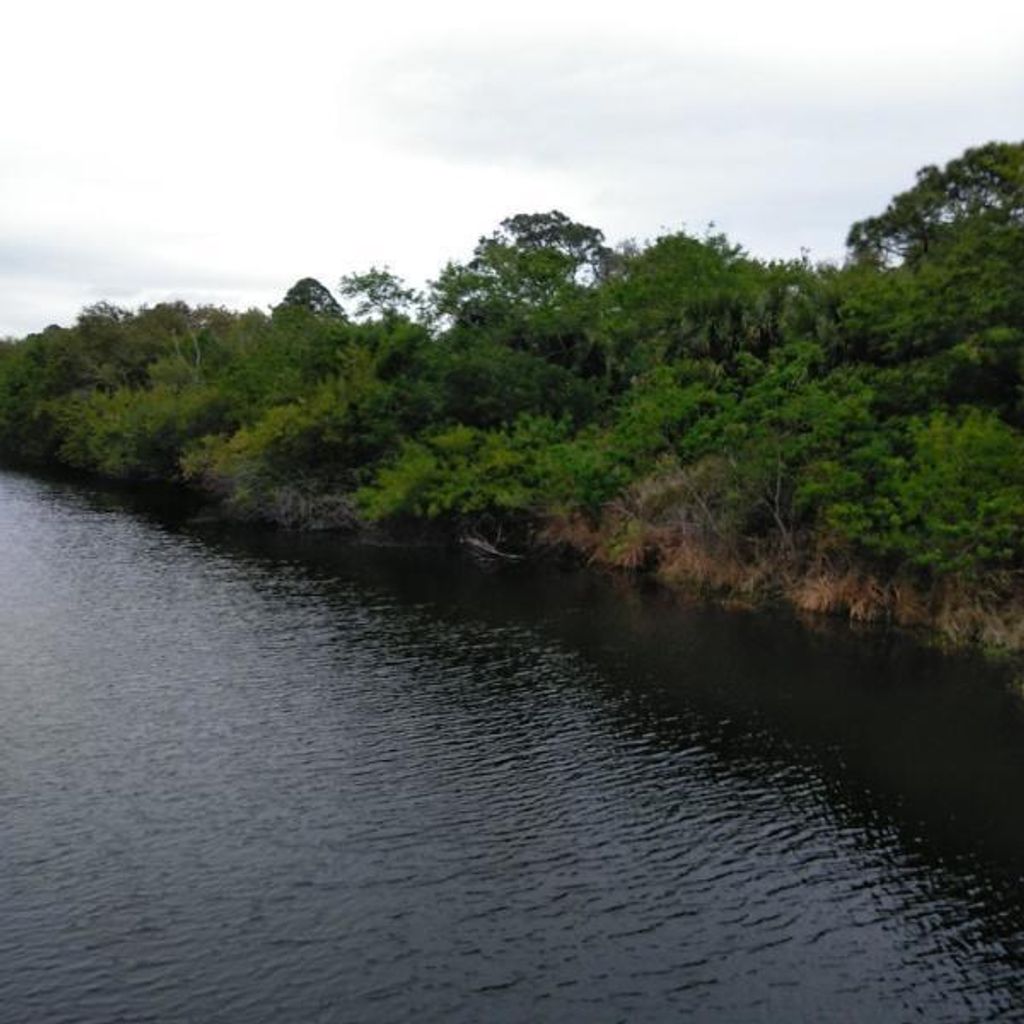 Photo of Tbd Bryant Road, Fort Pierce, FL 34946 (MLS # R10629979)