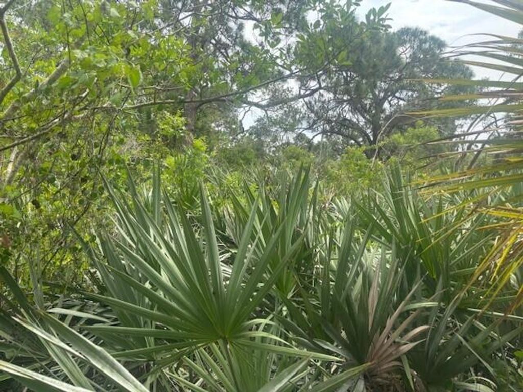 Photo of 0 Turnpike Feeder Road, Fort Pierce, FL 34945 (MLS # B26027426)