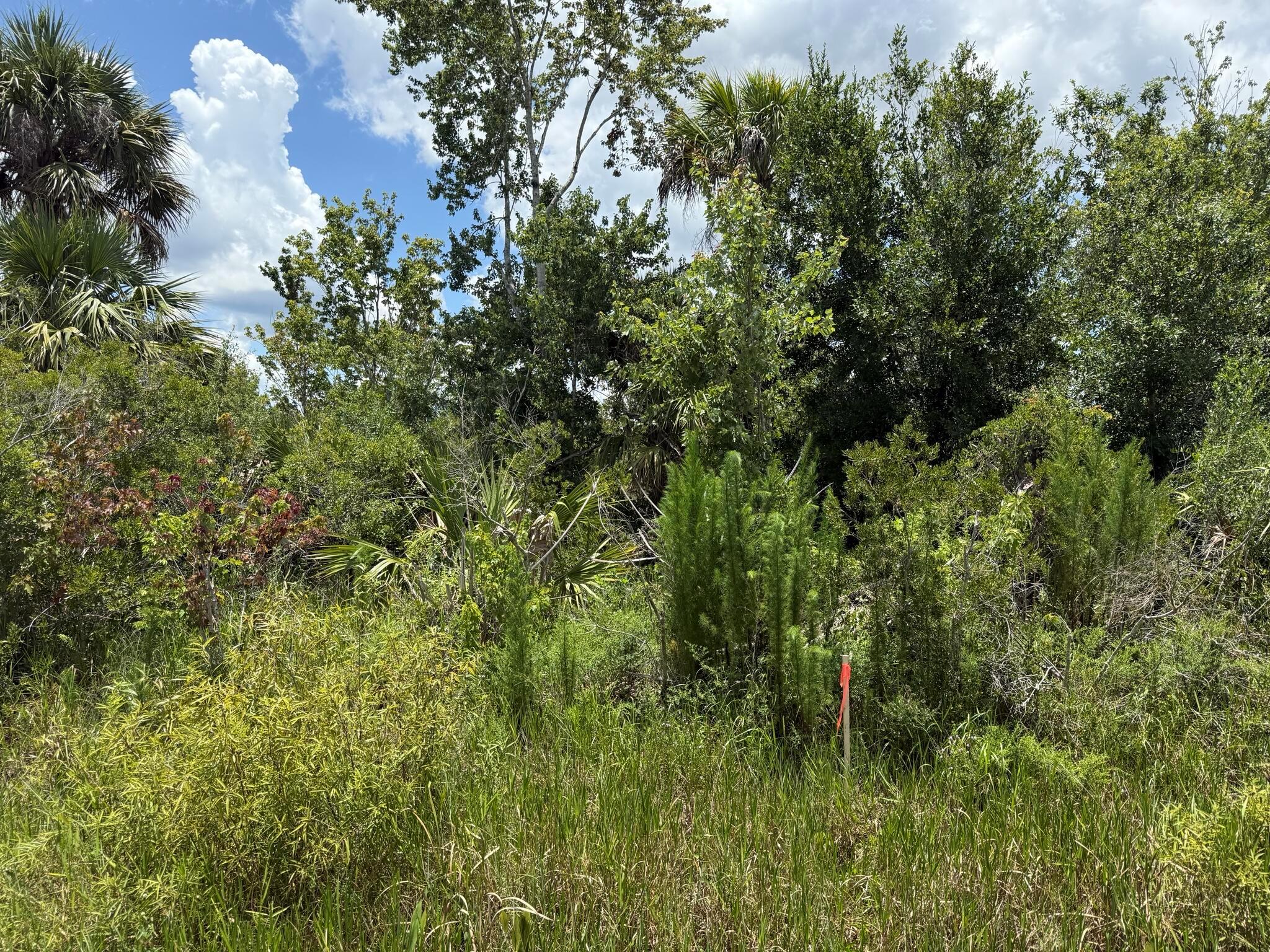 Don't miss this exceptional opportunity to own 2.50 acres of versatile land! just off of the main paved road but yet still private. So much to enjoy in Okeechobee County. Come to The Kissimmee River Preserve State Park West of this area as well is the Kissimmee River. The Kissimmee River flows into Lake Okeechobee and is well known for some of the best fishing. whether you like Fishing, hunting, mudding agriculture or just privacy here you have it all.