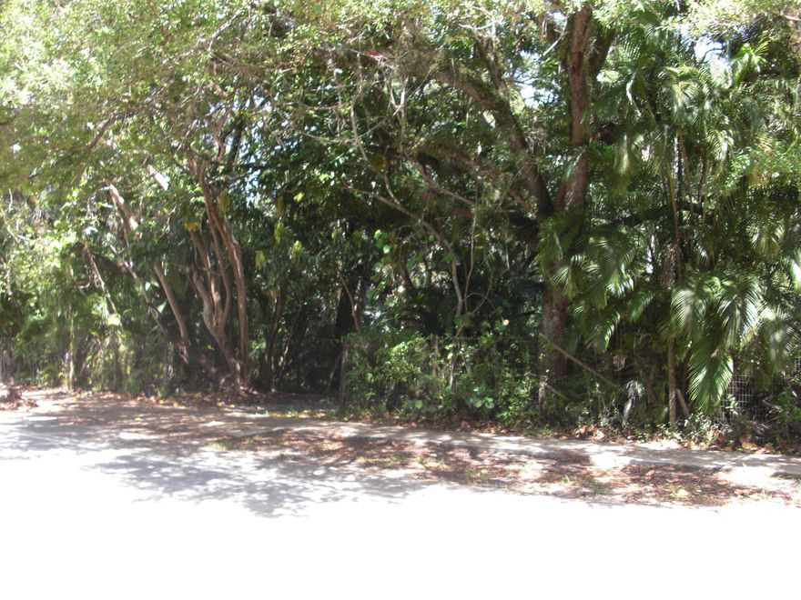 Never before offered...great for an investor/builder or individual to build a custom estate home on a huge oversized lot w/live oaks, pines and palms. A truly unique property with flexibility. Site contains 119,76SF (2.75AC) and does have an old home on it that is not livable. Seller has current surveys of a parcel split into two buildable lots that can be done without re-platting. A re-plat would allow 8-9 15,000+-sf lots per the RS 3.52 zoning. Quiet, safe area of Riverland, a residential neighborhood minutes from downtown Fort Lauderdale and the beach. Easy access to Las Olas, I-95, I-595, US1, SR84 Marinas and FLL airport. The parcel is being offered in whole. VALUE IS IN THE LAND. SOLD "AS-IS. Proof of funds and DU. No sign on property, Call LA for easy access.