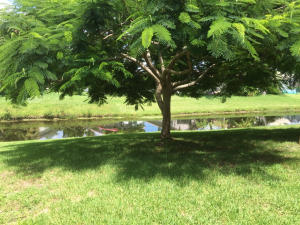 Emerald Forest - Residential