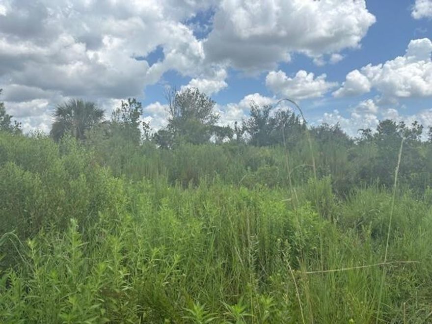Triple lot in Viking Estates. Close to the Kissimmee Prairie State Park. Bring your 4 -wheelers. This property is not only ideal for recreational uses such has camping, hunting and shooting, but it’s agricultural as well.Owner financing available