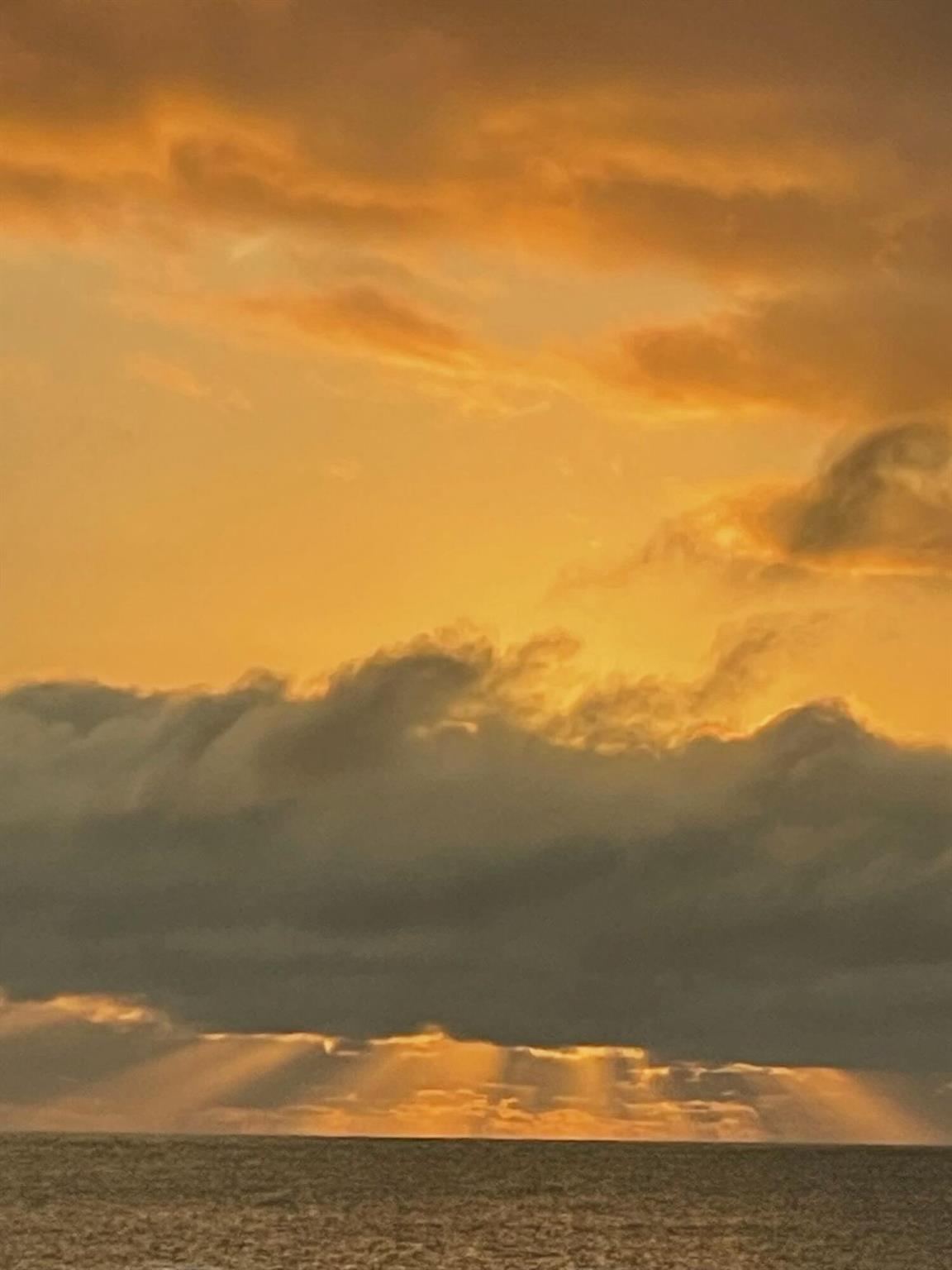 TWELVE OAKS CONDO - Residential