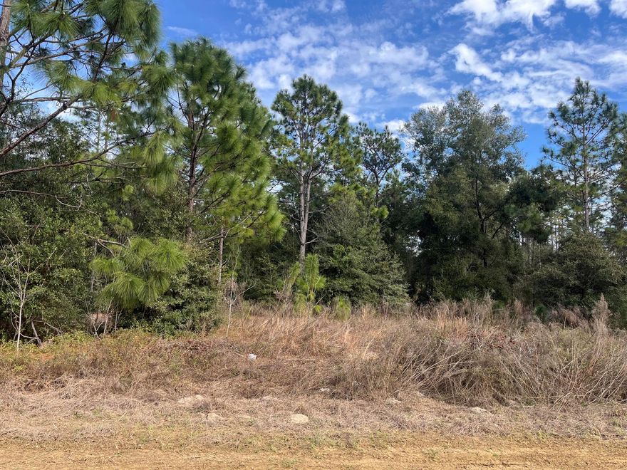 Build your dream home on this nice lot in Desa Rosa community in Crystal River!! No HOA and not in a flood zone. Electricity nearby making it easy to access power. Quiet neighborhood but minutes from shopping, doctors' office, restaurants and just a short drive to the Suncoast Parkway to be in the big cities like Tampa or St. Pete! Buying Land in Florida is a solid investment for your future, build your dream home, vacation home, rental investment or let the land build value as a great long-term investment to resell for a future profit