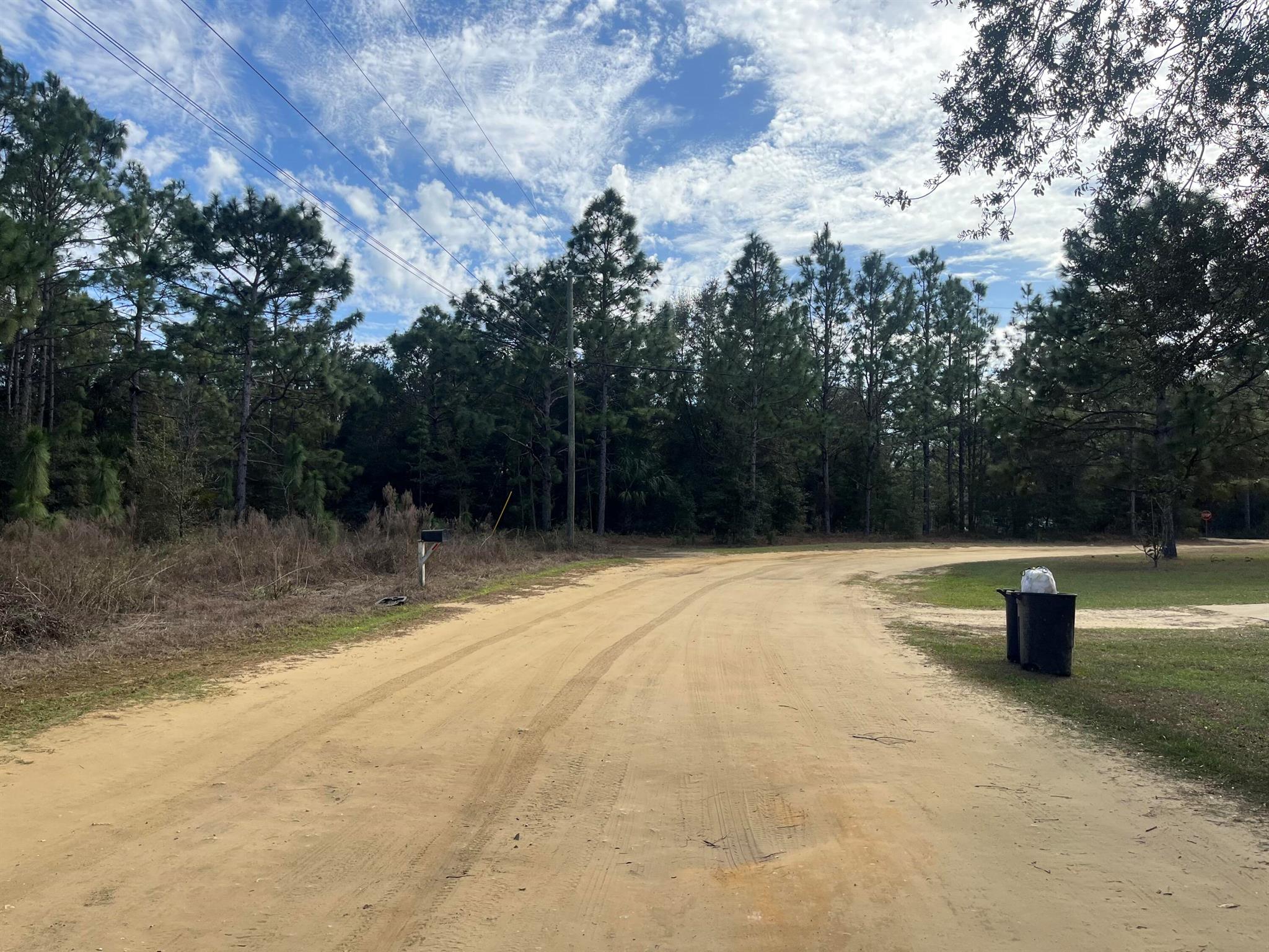 8681 N Reina Loop