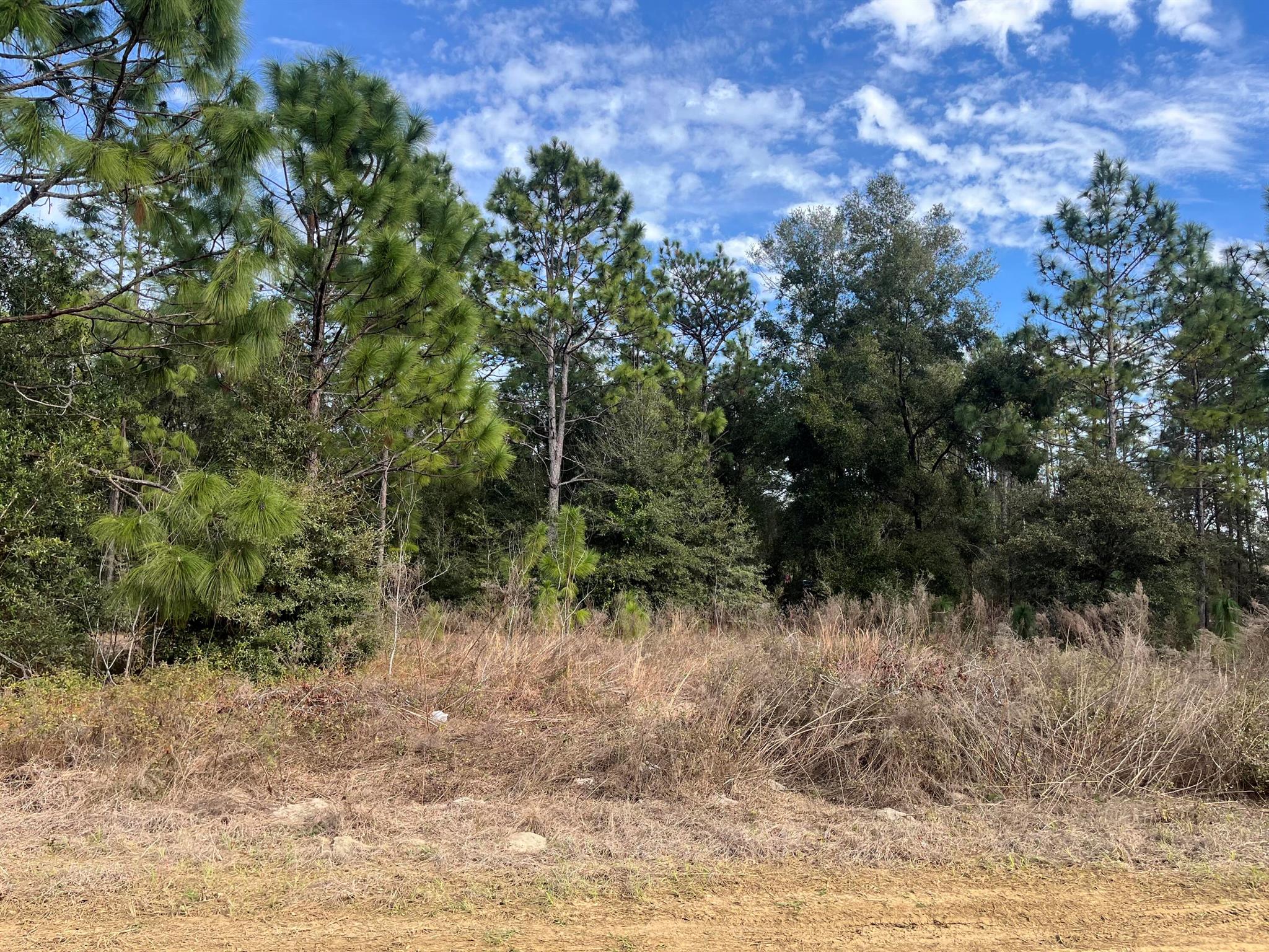 8681 N Reina Loop