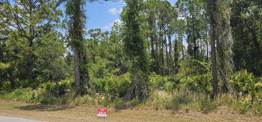 Build your dream home on this excellent vacant lot located at 20216 Elrose Ave in Port Charlotte. Surrounded by established homes, this property is in a fully developed and growing neighborhood, offering convenience and peace of mind. The area is already urbanized, making it ideal for immediate construction. Enjoy a quiet residential setting while being close to shopping, dining, schools, and major roads. A great opportunity for homeowners or investors looking to build in a desirable area of Port Charlotte.