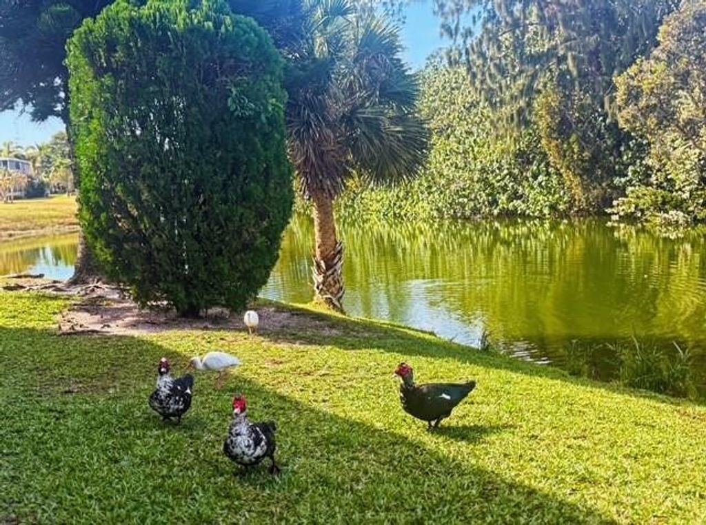 Photo of 85 Northampton, West Palm Beach, FL 33417 (MLS # F10549294)