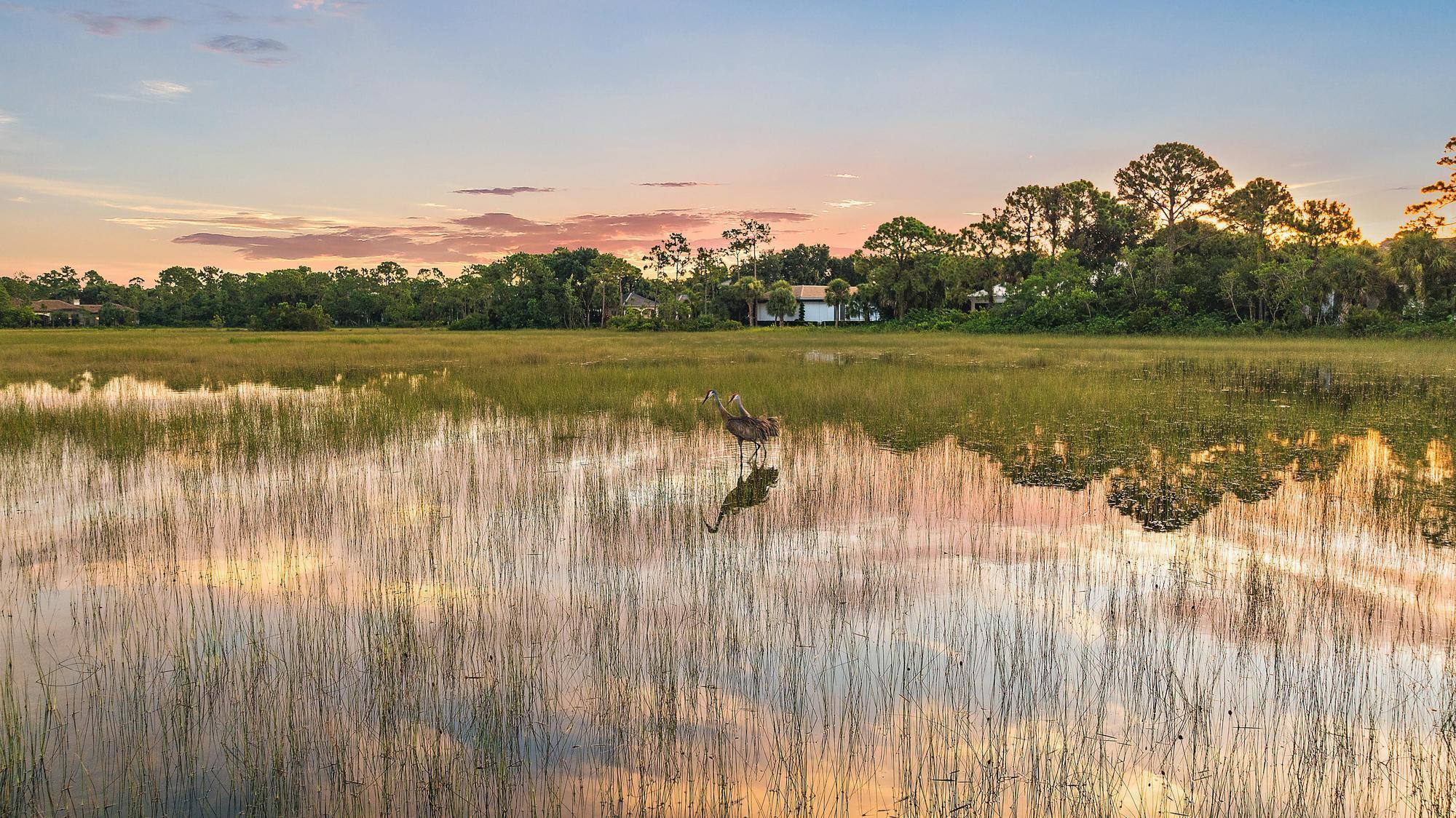 OLD MARSH GOLF CLUB - Residential
