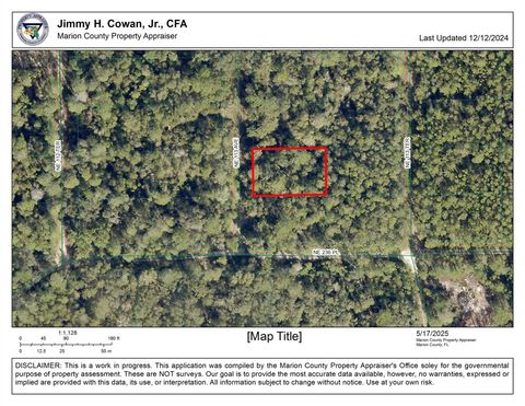 00 NE 113 AVE Fort Mc Coy FL 32134