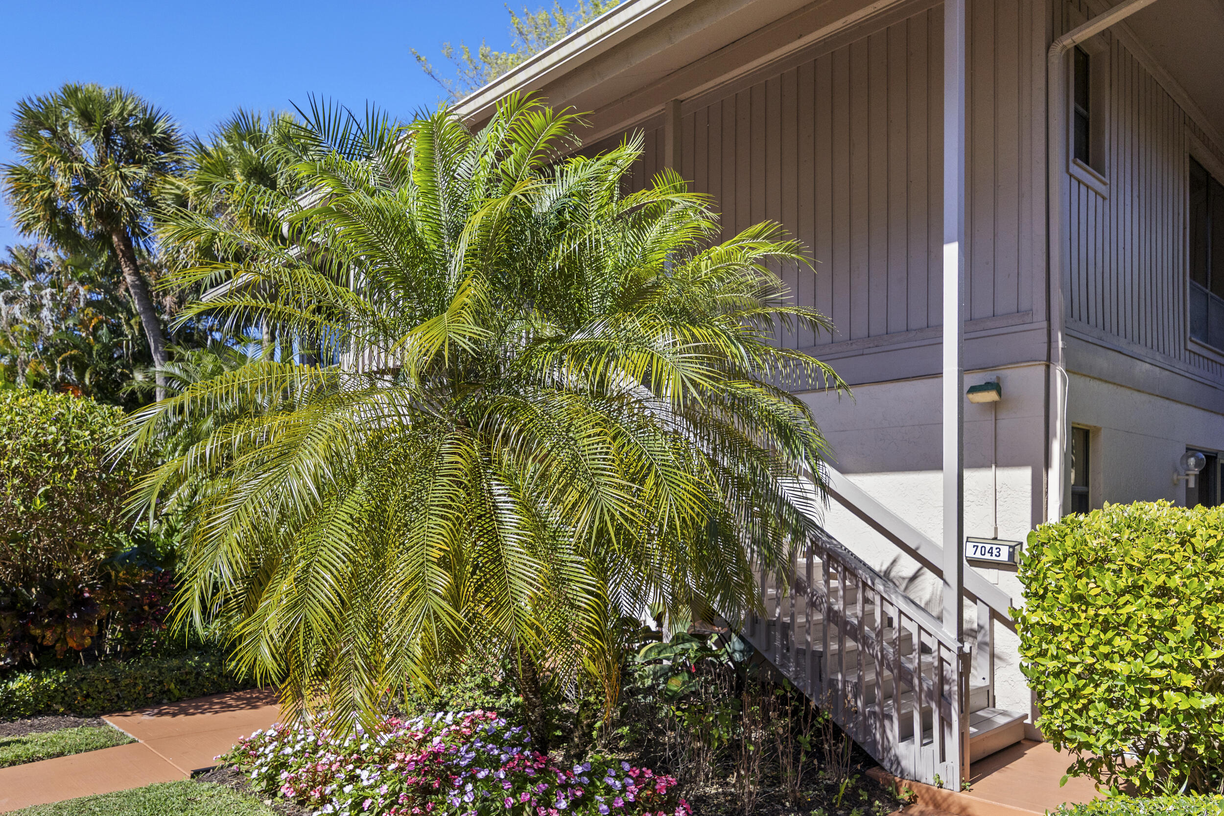 7043 Rain Forest Drive