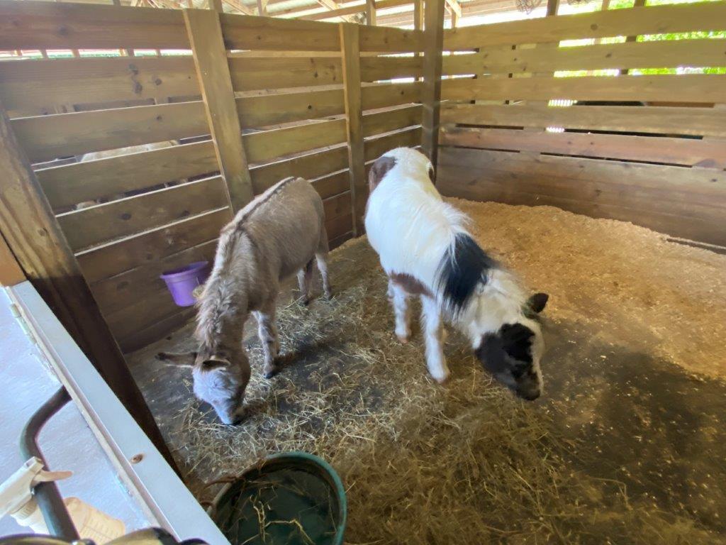 LOXAHATCHEE GROVES - Residential Lease