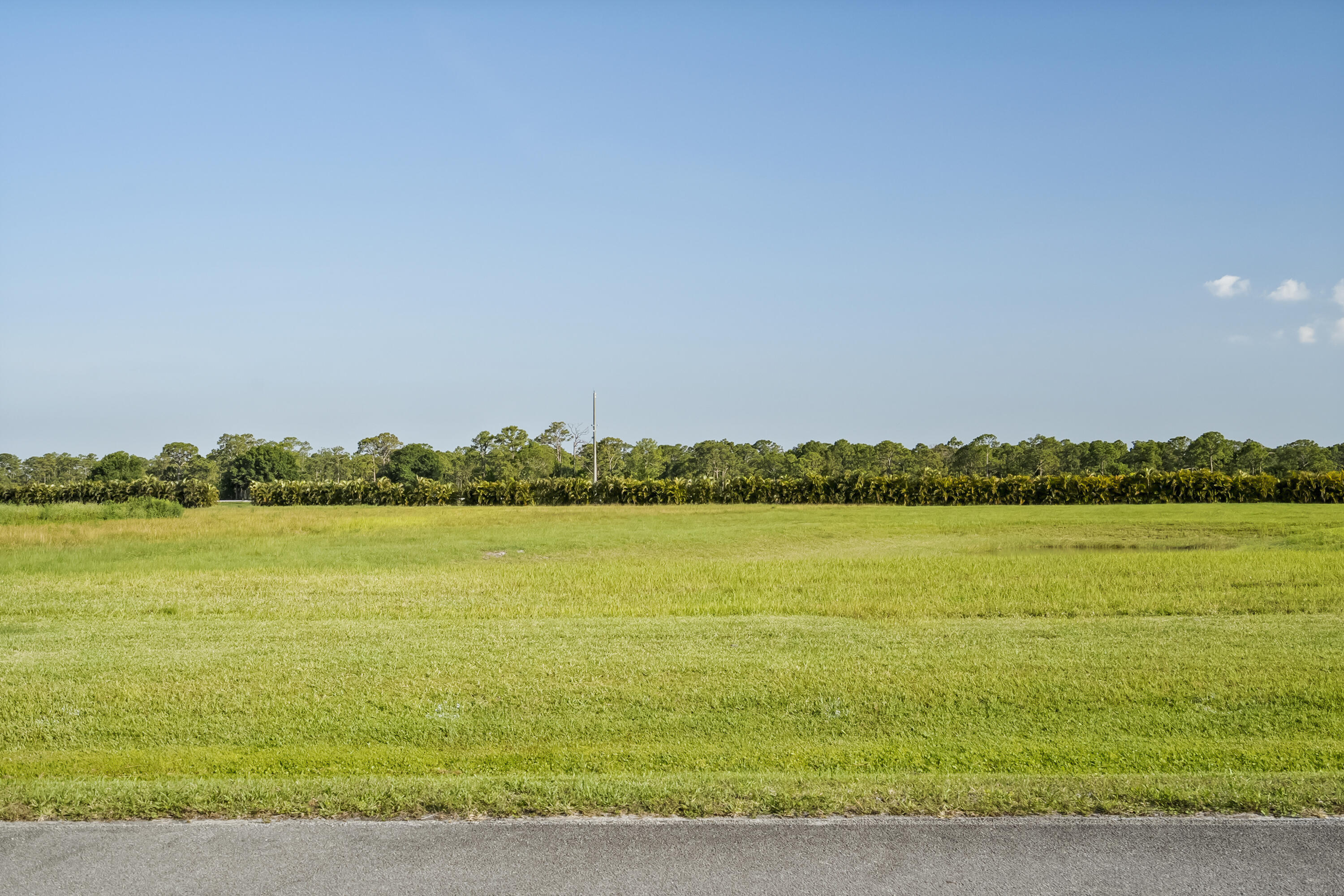 FOX GROVE (AKA MEADOW RUN) - Land