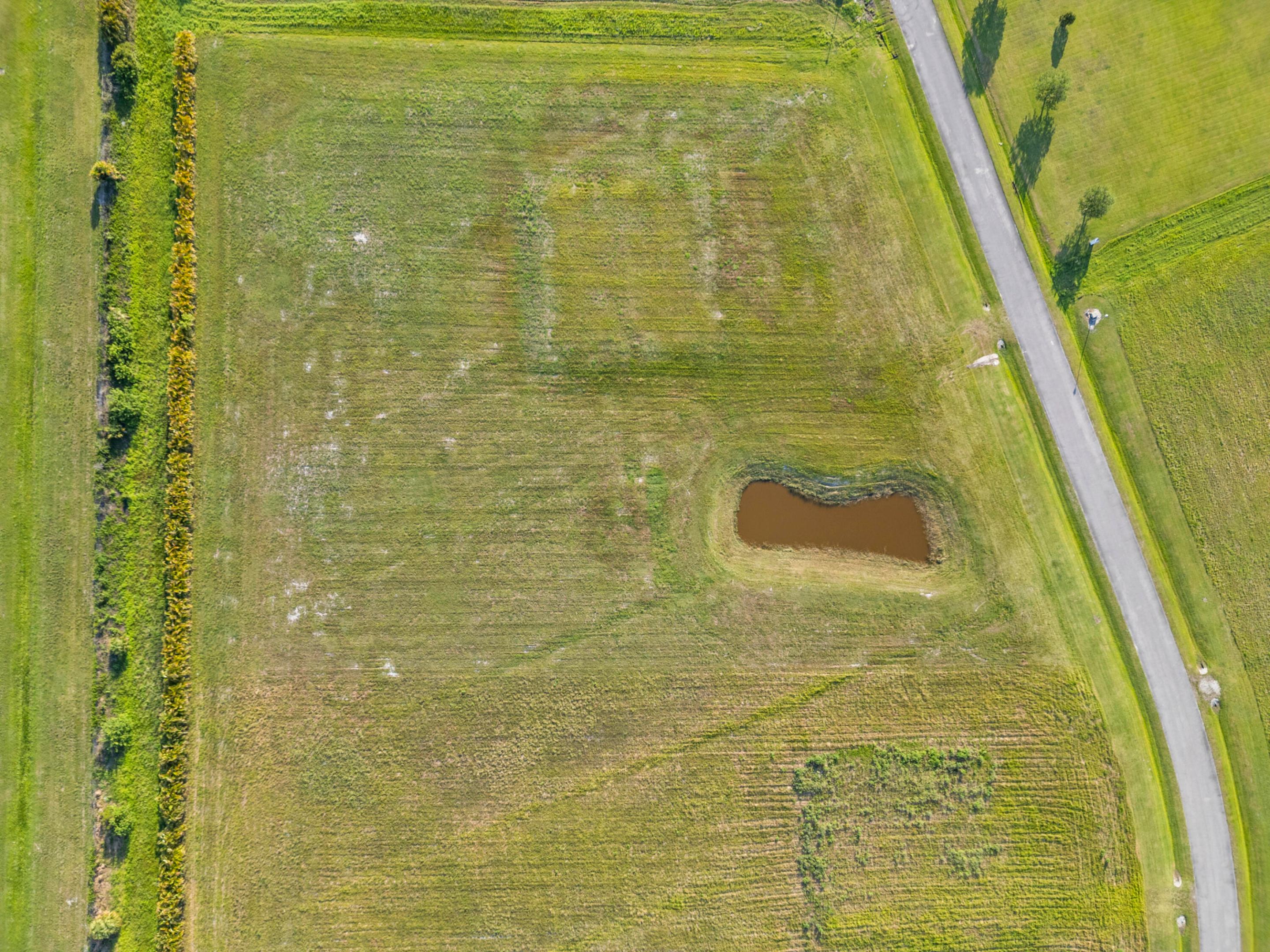 FOX GROVE (AKA MEADOW RUN) - Land