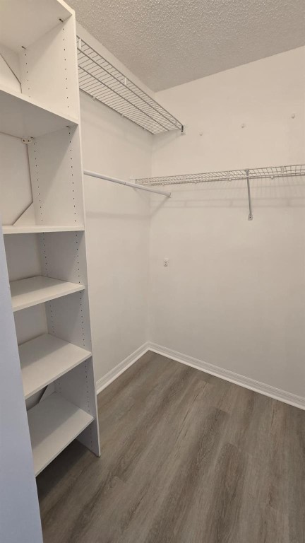 SAN MESSINA - Residential Lease